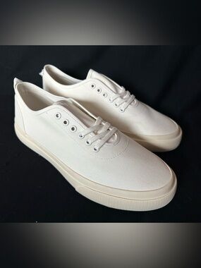 Everlane Men's Off-White Canvas Sneakers